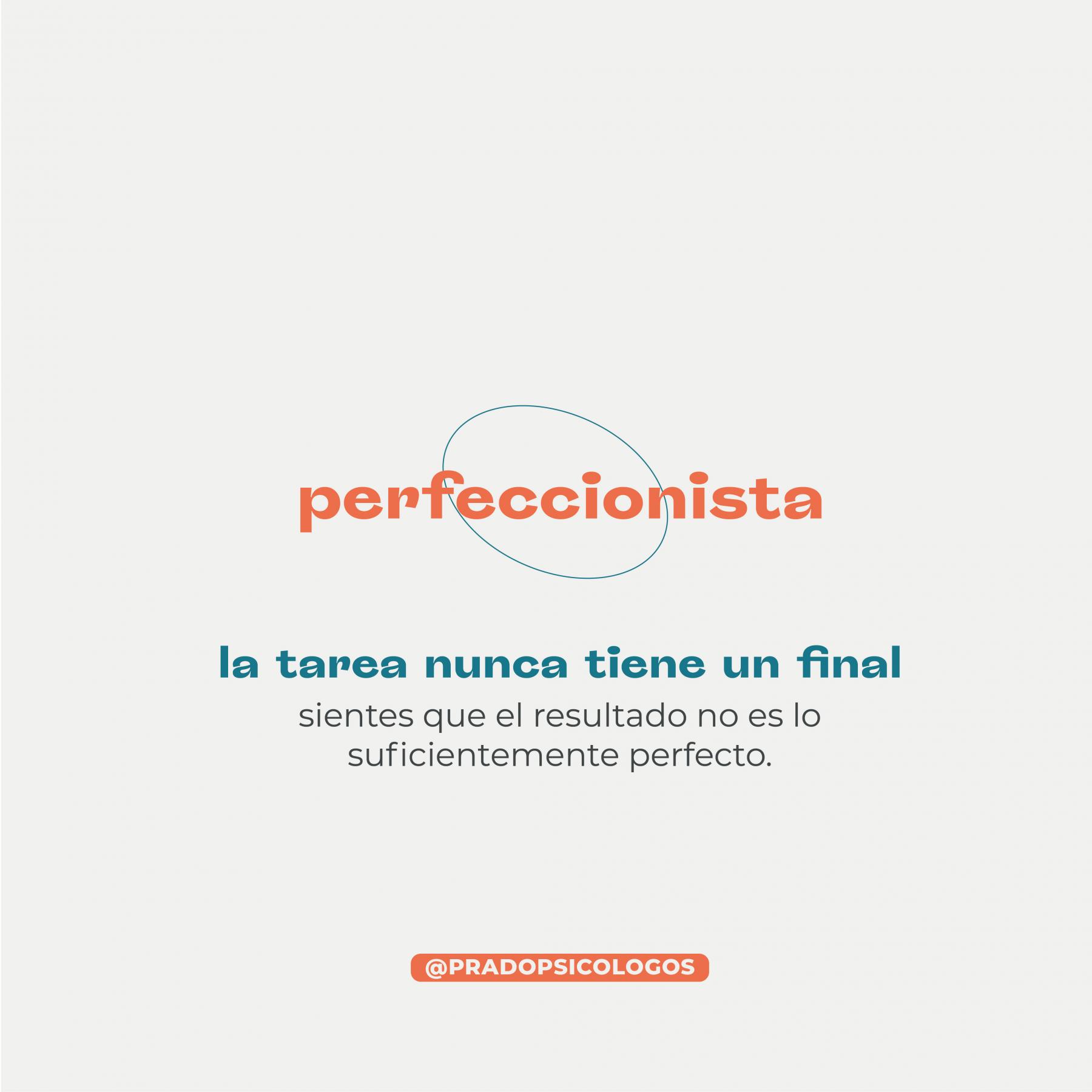 Perfeccionista definición